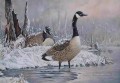 birds in snowing lake